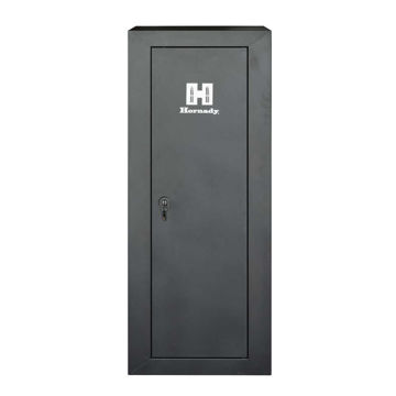 Picture of 10-Gun Welded Cabinet